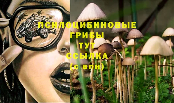 гидра Абаза