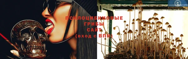 2c-b Абдулино