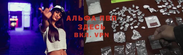 гидра Абаза