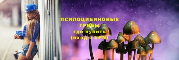 гидра Абаза