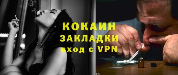 гидра Абаза