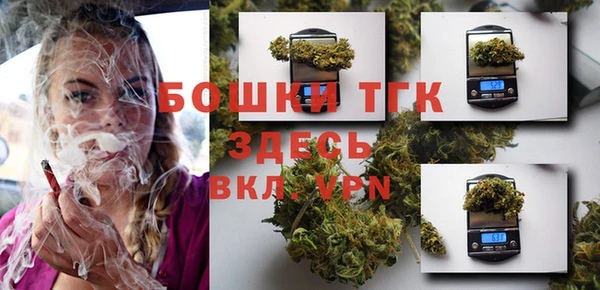 гидра Абаза
