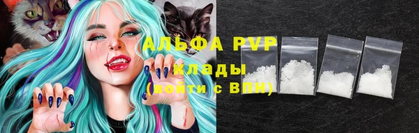 гидра Абаза