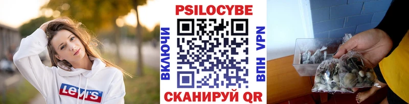 Галлюциногенные грибы ЛСД  Новомичуринск 